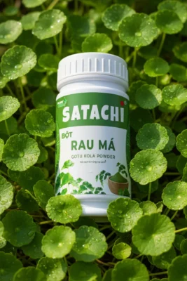 La rau ma tuoi Viet Nam voi suong mai goc chup macro